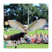 Straattheater: Roofvogel Show