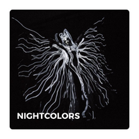 Straattheater Spectaculair: Nightcolors