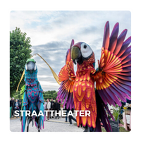 Straattheater Acts boeken of inhuren bij Entertainmentbureau Fun Factor Events