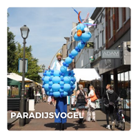 Kids Entertainment: Paradijsvogel