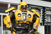 Bumblebee boeken of inhuren Fun Factor Events