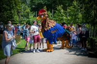 Vogelen Straatheater Animatie Boeken Huren